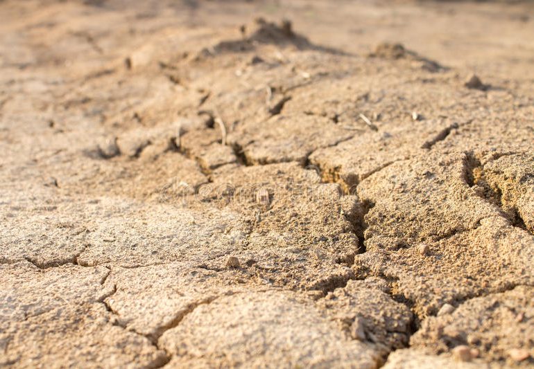 Pomoc po suszy: ARiMR wypłaciła już prawie 100 mln zł