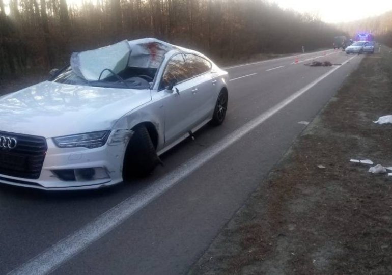 Audi zderzyło się z jeleniem i fordem w Przyłęku koło Kolbuszowej. Pięć osób w szpitalu