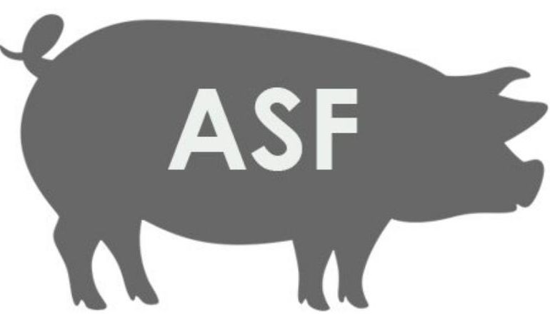 Chroń swoje gospodarstwo przed ASF - Film