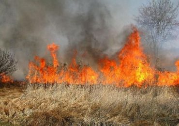 ARiMR przypomina: wypalanie traw grozi utratą dopłat