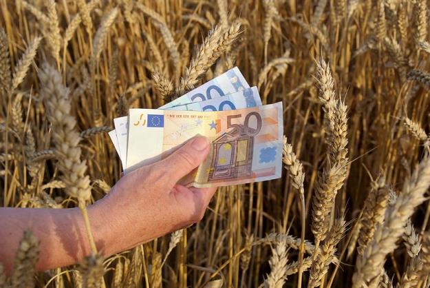 Rolnictwo: Od 15 marca rolnicy będą mogli składać wnioski o przyznanie płatności obszarowych na 2021 rok. ARiMR wprowadza zmiany w zasadach wypełniania dokumentów.