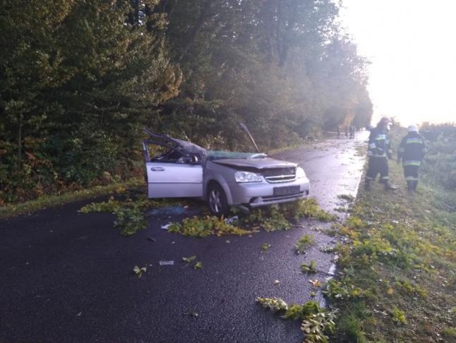 Nisko: Drzewo spadło na pojazd, nie żyje kierowca