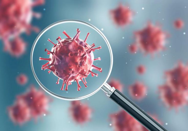 Polscy naukowcy wyizolowali koronawirusa z próbki pacjenta zero