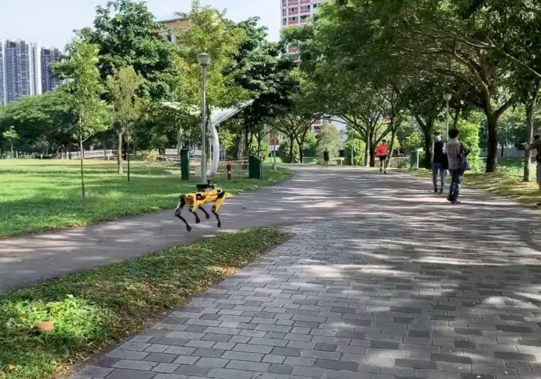 Technologia: Roboty chodzą po parku i pilnują odległości między ludźmi. Psy-roboty w Singapurze.