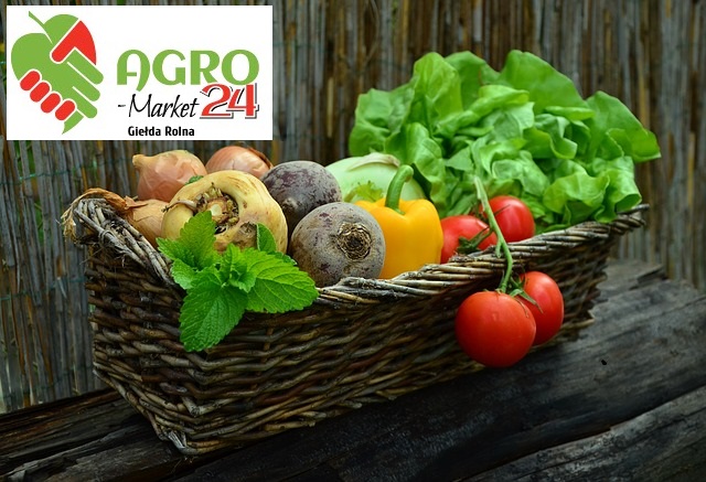 Polska: Agro-Market24.pl - Internetowa Giełda Rolna