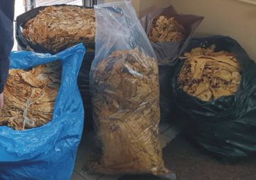 Nisko: prawie 100 kg suszu tytoniowego zabezpieczone przez funkcjonariuszy