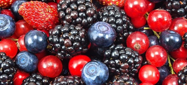 Porady: Owoców z tych krzewów lepiej nie jedz prosto z krzaka