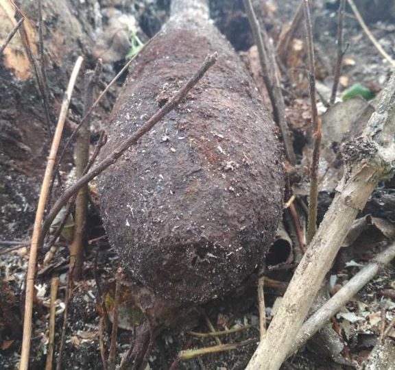 Ropczyce: Na terenie powiatu ropczycko -sędziszowskiego odnaleziono niewybuchy