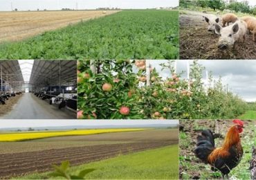 Rolnictwo: Trwa nabór wniosków - „Modernizacja gospodarstw rolnych” w obszarze D