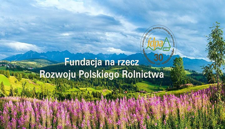 Rolnictwo: Konkurs „Polska wieś - dziedzictwo i przyszłość”