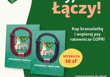 Polska: „Przyjaźń Łączy – Wspólnie dla Zwierząt” – akcja charytatywna wspierająca psy ratownicze GOPR