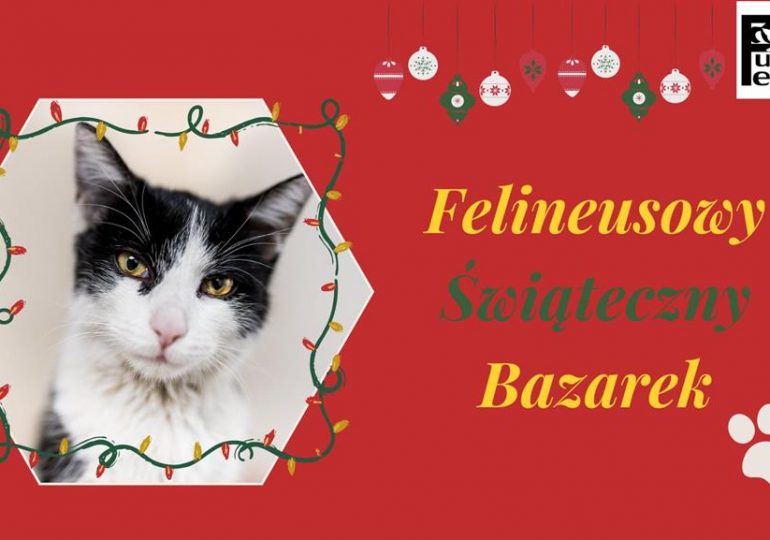 Pomoc potrzebującym: Koci bazarek charytatywny online - Fundacja Felineus