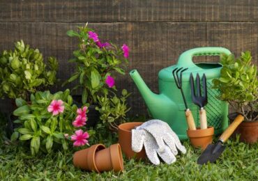 Krosno: Porządki w ogrodzie? Od kwietnia miasto odbierze zielone bioodpady - zobacz gdzie kupić worki i poznaj terminy odbioru