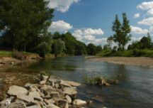 Mielec: Stan rzek w zlewni Wisłoki