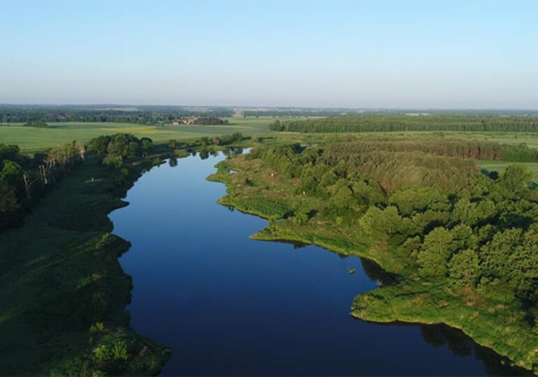 Polska: Oświadczenie PZW ws. katastrofy ekologicznej na rzece Odrze